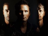 Muse