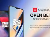 Open beta 12