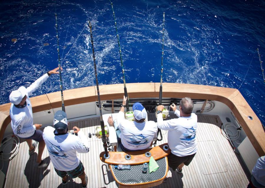 Máximo detalhe e uma melhor experiência de pesca com os novos transdutores da Garmin Máximo detalhe e uma melhor experiência de pesca com os novos transdutores da Garmin