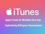 BitPaymer