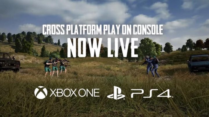 Playstation Cross-Play