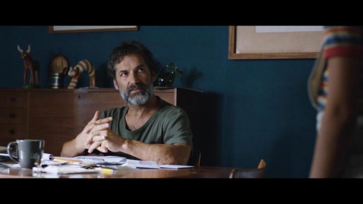 Tristeza e Alegria na Vida das Girafas