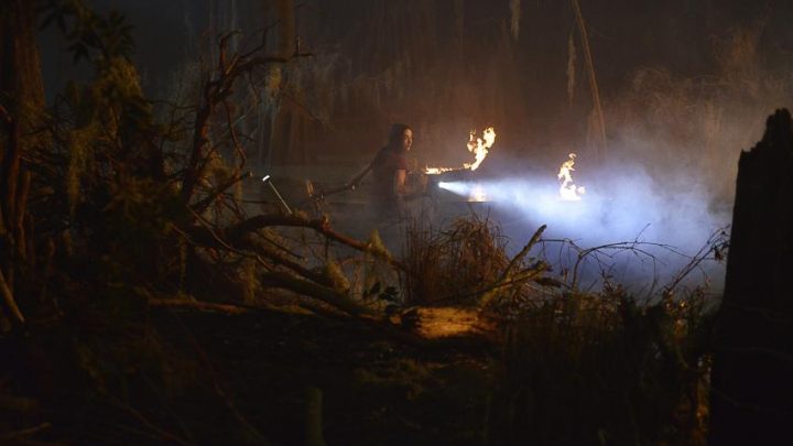 Swamp Thing