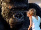 King Kong
