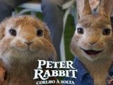 Peter Rabbit