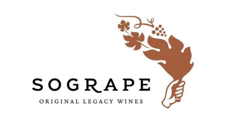 Sogrape tem a melhor Intranet da Europa Sogrape tem a melhor Intranet da Europa