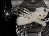 The Talos Principle