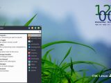 MX Linux 19.1