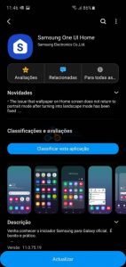 bug galaxy S10