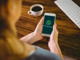 WhatsApp mensagens dados termos