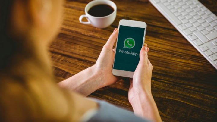 WhatsApp mensagens dados termos