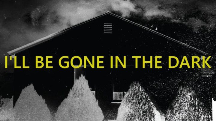I'll Be Gone in the Dark