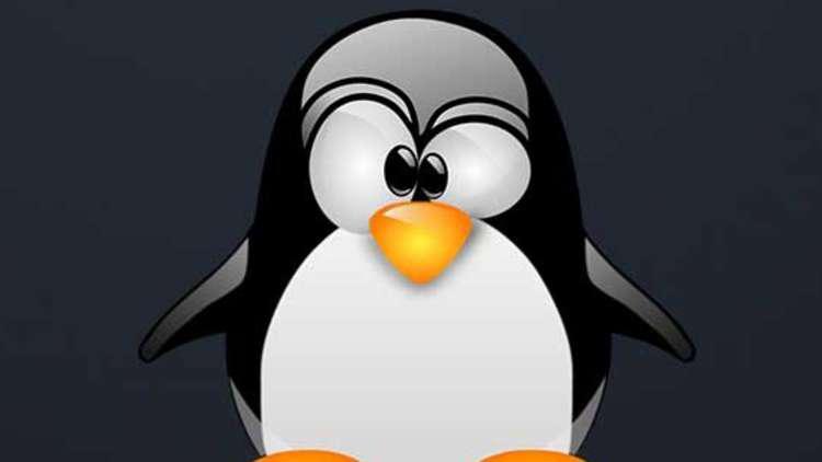Linux: Malware infiltrado durante 3 anos sem ninguém reparar Linux: Malware infiltrado durante 3 anos sem ninguém reparar