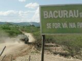 Bacurau