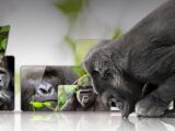 Corning Gorilla Glass Victus