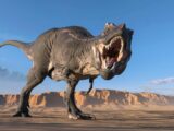 dinossauros