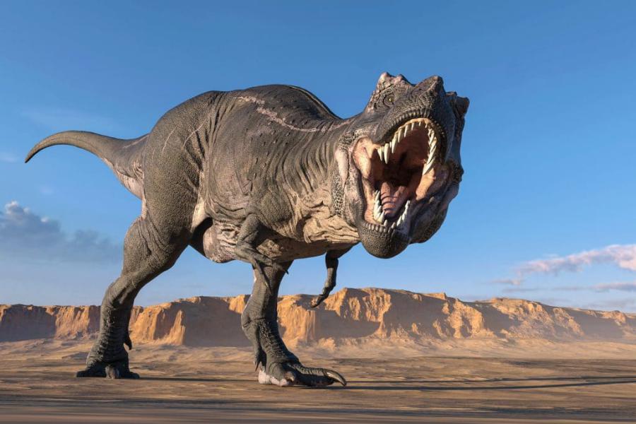 Google: Realidade Aumentada permite-lhe ver Dinossauros onde desejar Google: Realidade Aumentada permite-lhe ver Dinossauros onde desejar