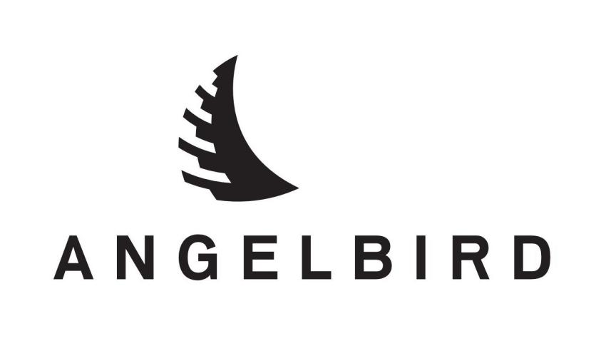 Angelbird lança cartão microSD de qualidade profissional Angelbird lança cartão microSD de qualidade profissional