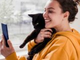 fotos gato