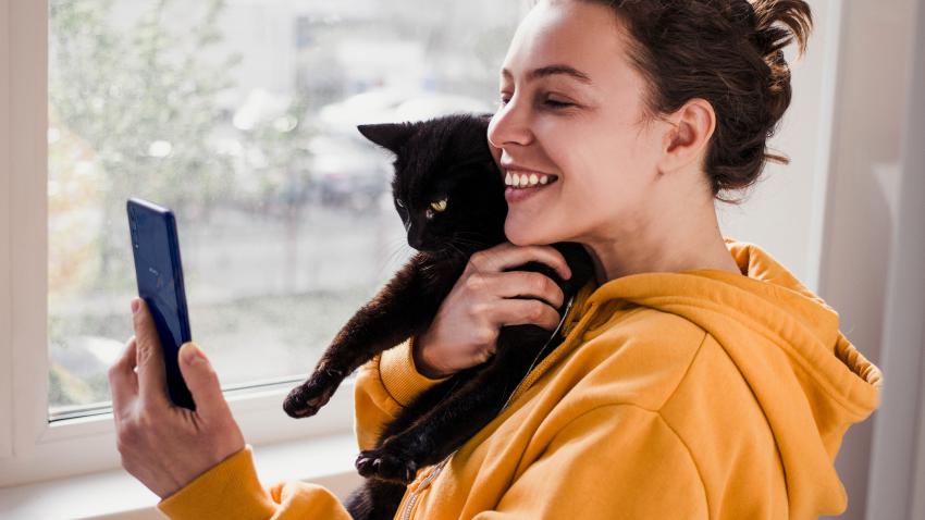 fotos gato