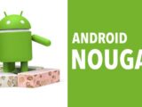Nougat