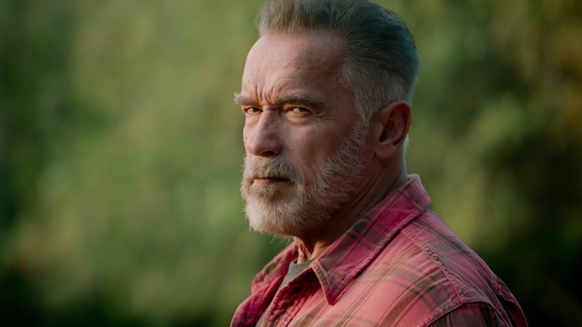 Schwarzenegger nomeado para cargo de responsabilidade na Netflix Schwarzenegger nomeado para cargo de responsabilidade na Netflix