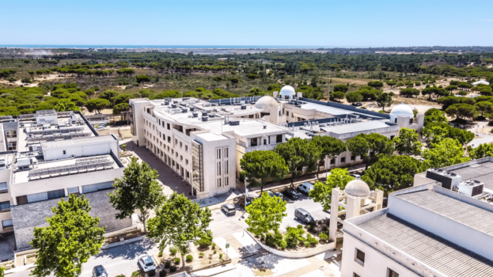 Universidade do Algarve