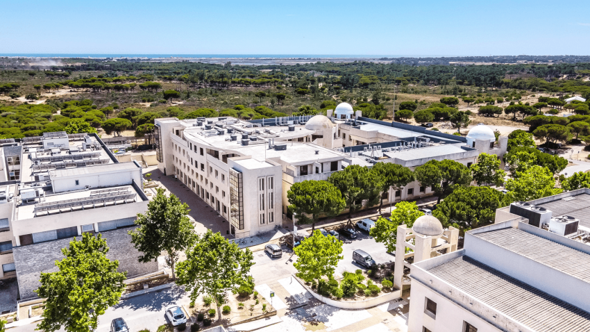 Universidade do Algarve