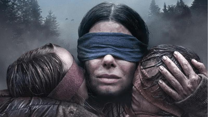 Bird box
