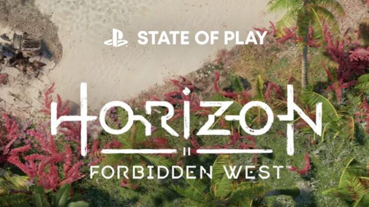 State of Play Horizon Forbidden