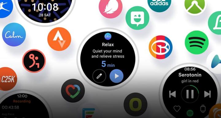 One UI Watch