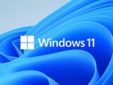 Moment 3 Windows 11 KB5034765