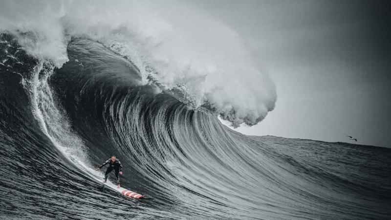 É oficial: A série A Grande Onda da Nazaré terá direito à temporada 2 É oficial: A série A Grande Onda da Nazaré terá direito à temporada 2