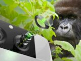 Gorilla Glass DX