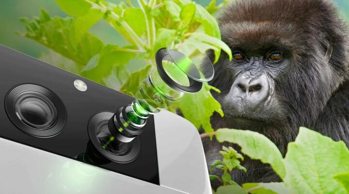 Gorilla Glass DX