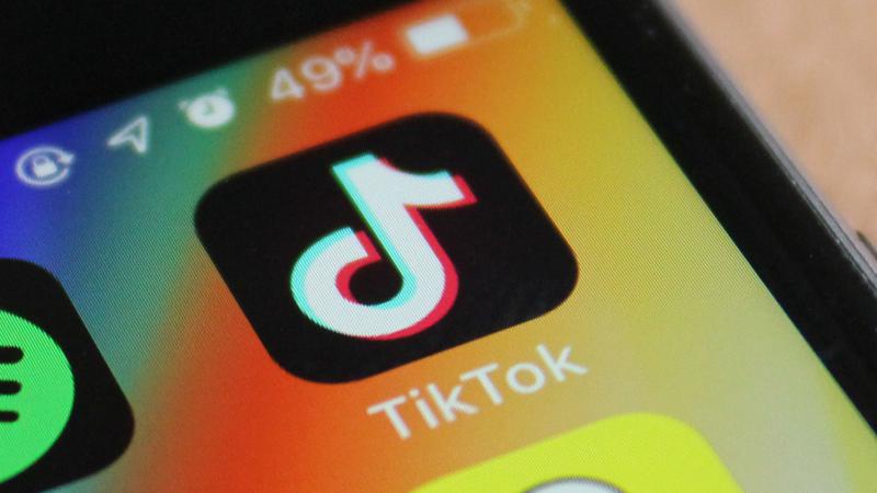 TikTok bane o “desafio das caixas” da sua plataforma TikTok bane o “desafio das caixas” da sua plataforma