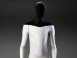 Tesla Bot