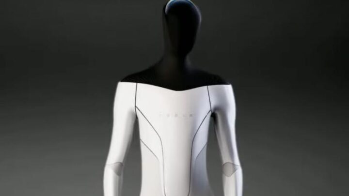 Tesla Bot