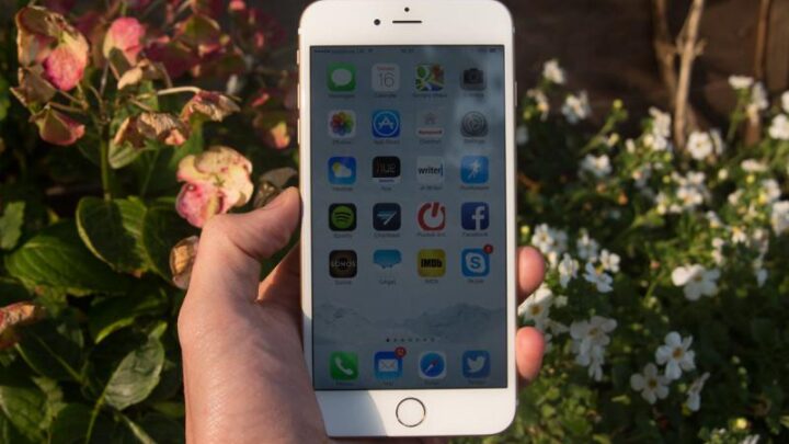 iPhone 6 Plus