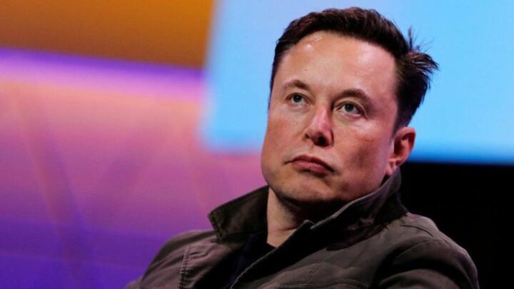 Elon Musk certificação