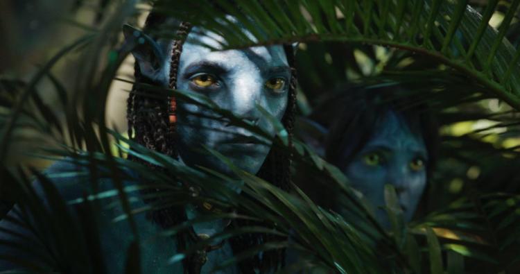 17 abril: “Avatar: O Caminho da Água” foi o filme mais pirateado na ultima semana 17 abril: “Avatar: O Caminho da Água” foi o filme mais pirateado na ultima semana