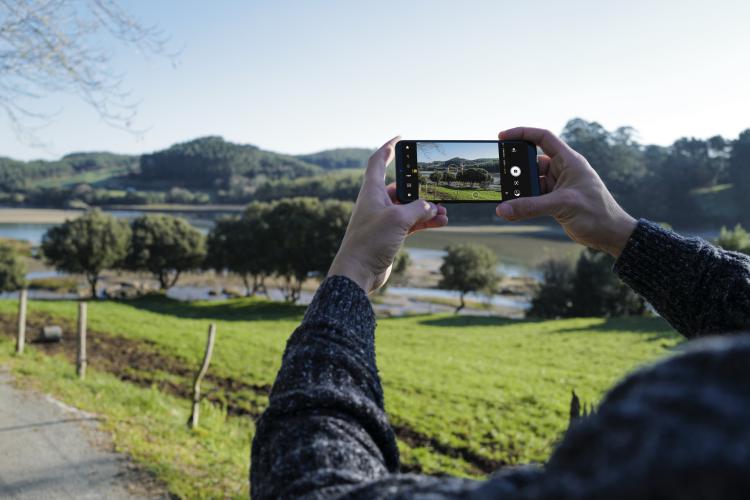 TCL anuncia a chegada do novo TCL 30 SE por menos de 200 euros TCL anuncia a chegada do novo TCL 30 SE por menos de 200 euros