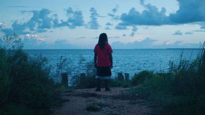 Descendentes é o novo filme documental que estreia hoje na Netflix Descendentes é o novo filme documental que estreia hoje na Netflix