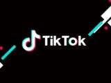 TikTok Lei dos Serviços Digitais