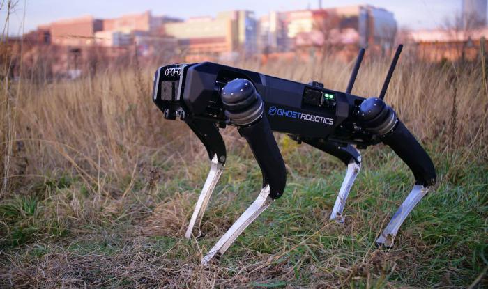 Boston Dynamics acusa Ghost Robotics de copiar os seus cães robôs Boston Dynamics acusa Ghost Robotics de copiar os seus cães robôs
