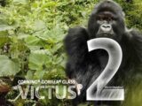 Gorilla Glass Victus 2
