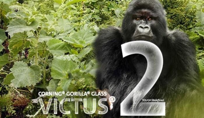 Gorilla Glass Victus 2