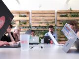Wild Code School