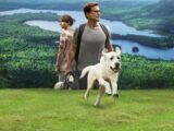 Cão Perdido