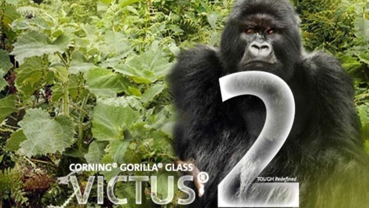 Gorilla Glass Victus 2
